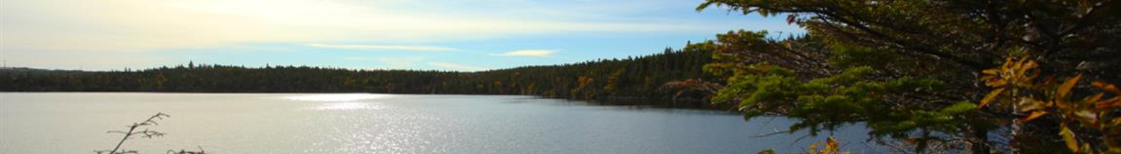 lake in fall