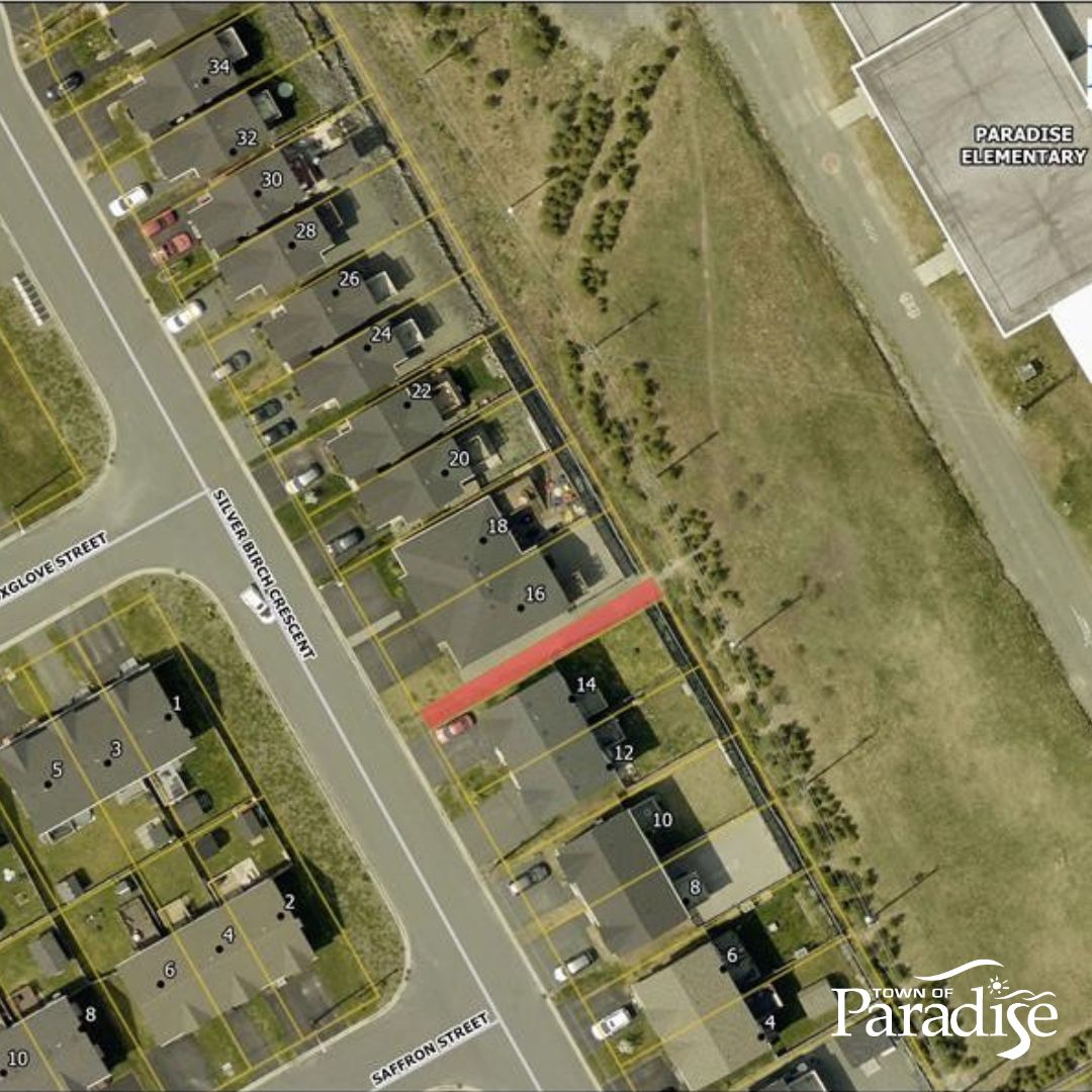 Paradise_Elementary to Silver Birch Pedestrian Trail Construction - August 2025