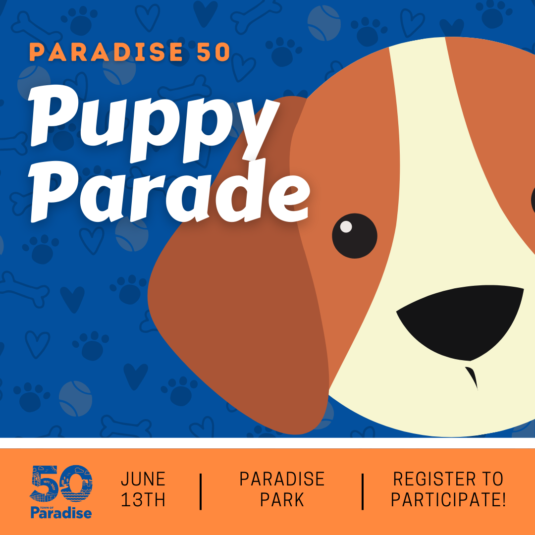 Paradise 50 Puppy Parade!