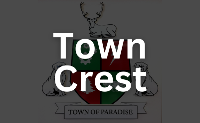 Town Crest