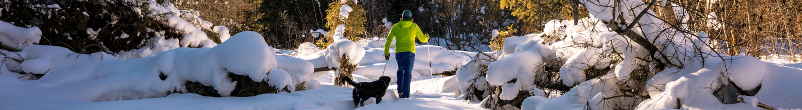 Cross country skiing with dog